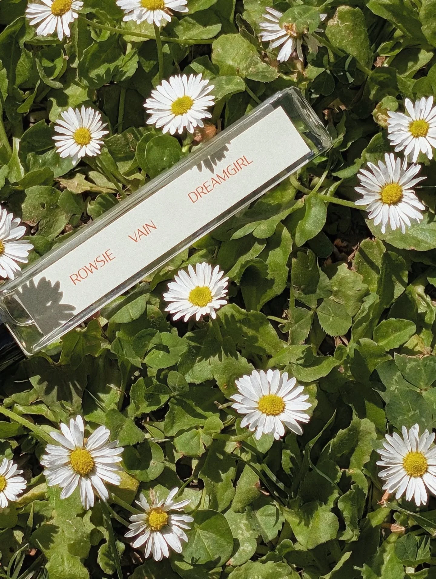 Get outside, Dreamgirls 🌿☁️