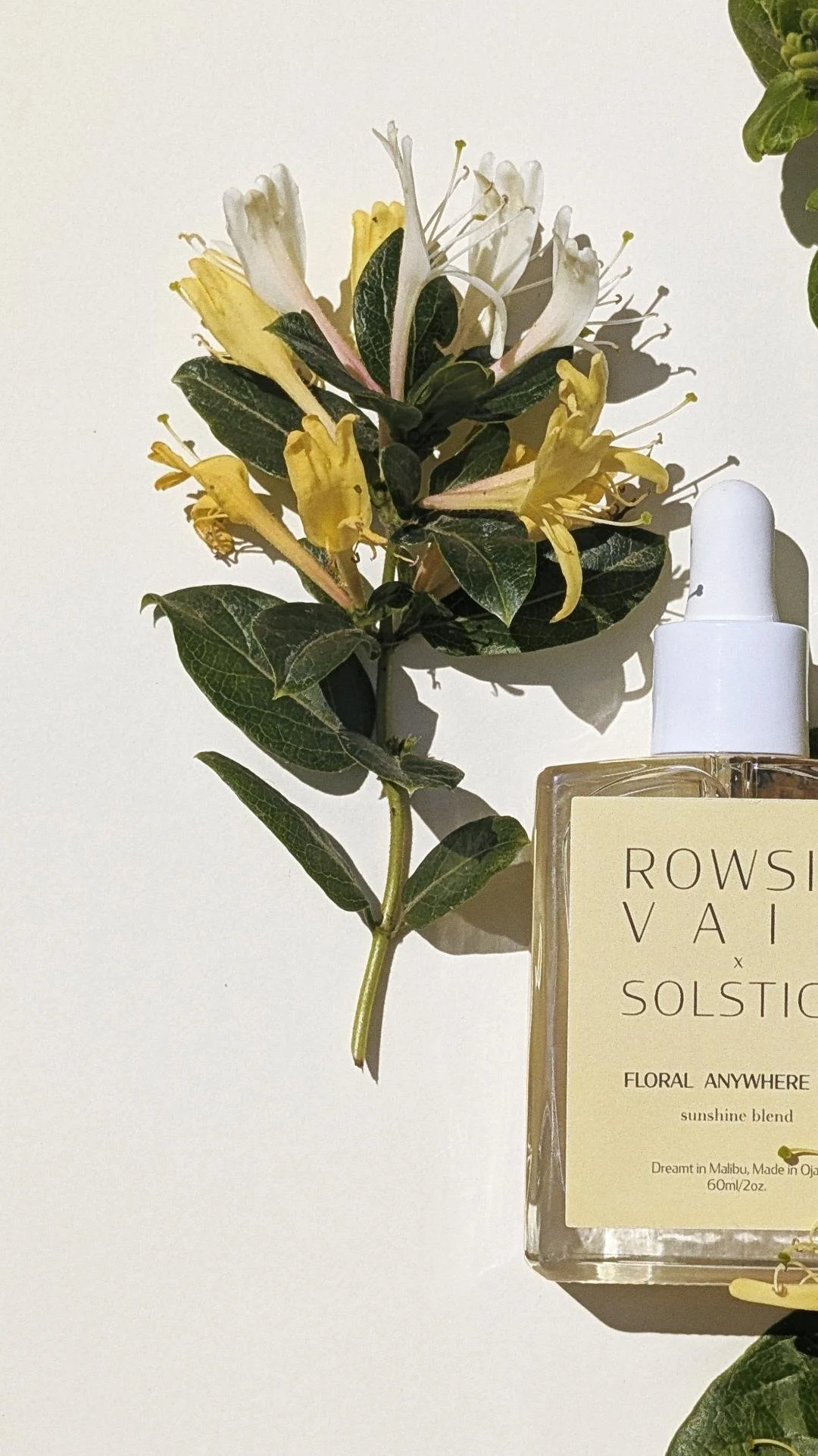 ROWSIE VAIN x SOLSTICE FLORAL ANYWHERE OIL4.jpg