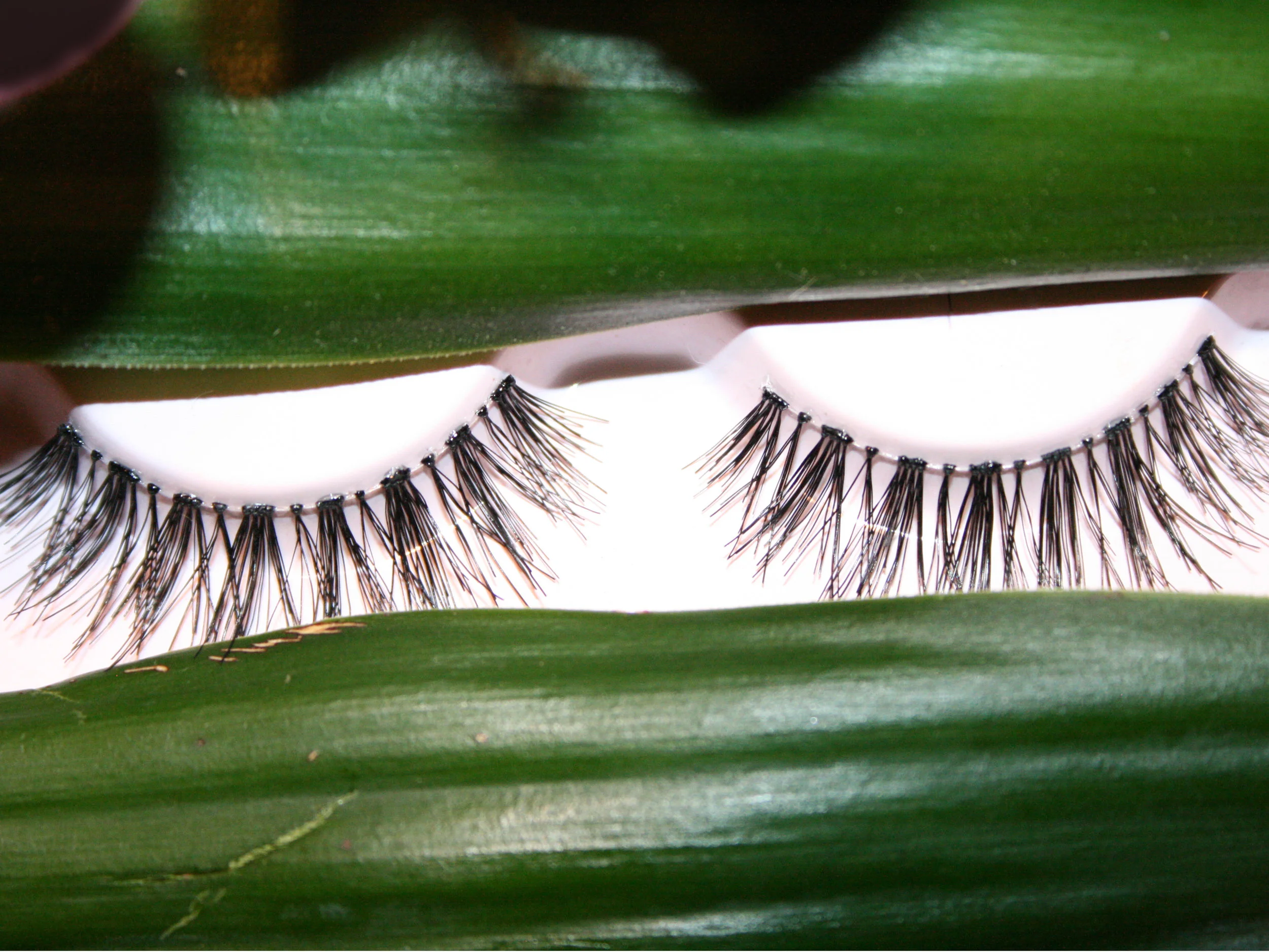 Fake Lashes.jpg