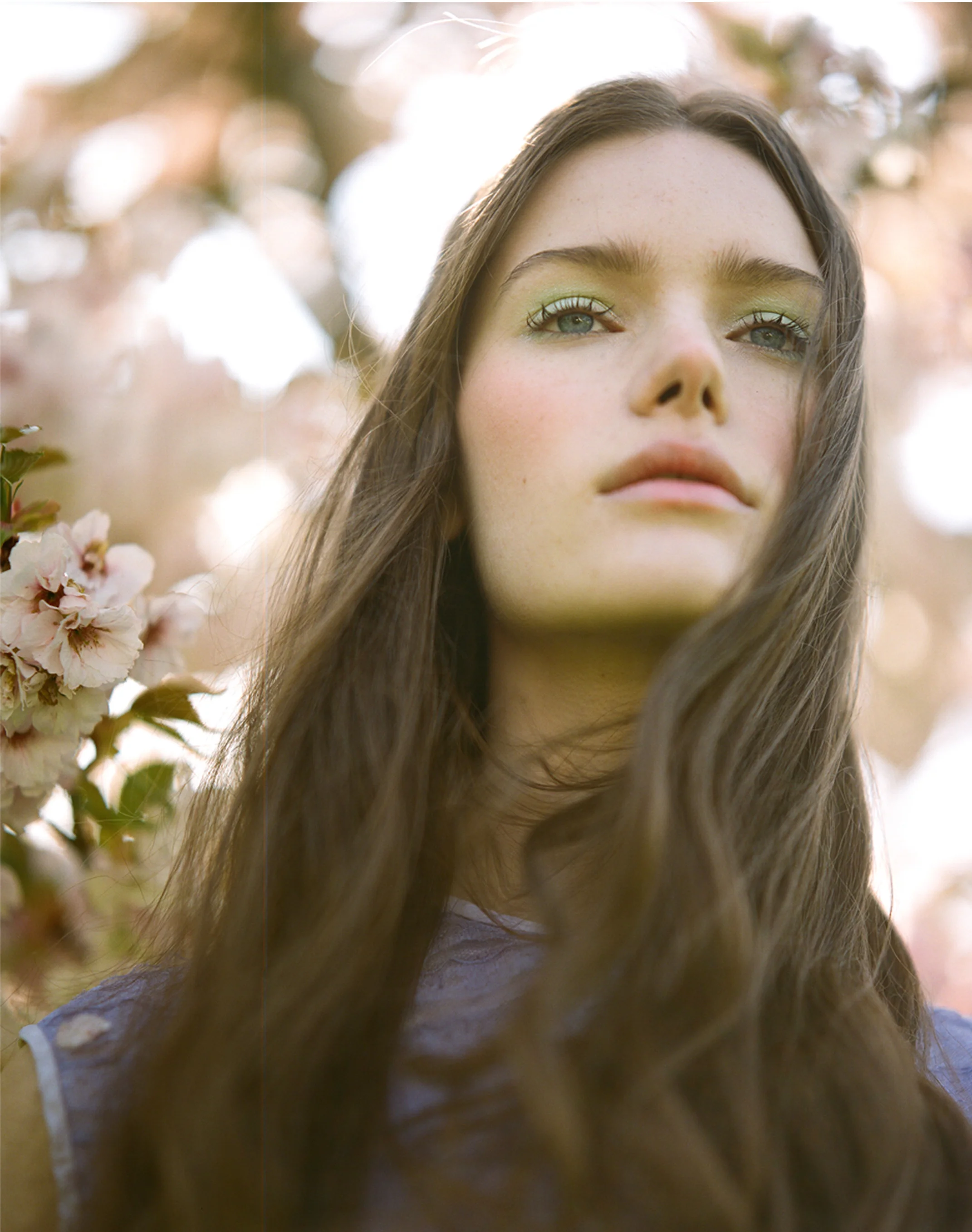 BLOSSOM 1.jpg
