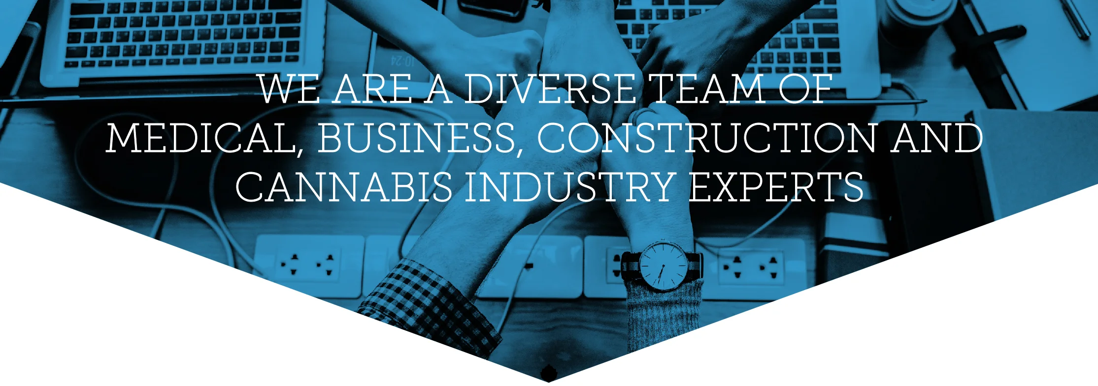 We are a diverse team of Medical, Business, Construction and Cannabis Industry Experts