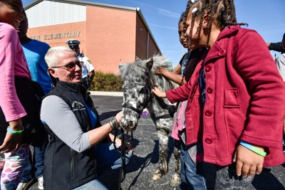 newsEngin.20174389_102017-mini-horses-02.jpg