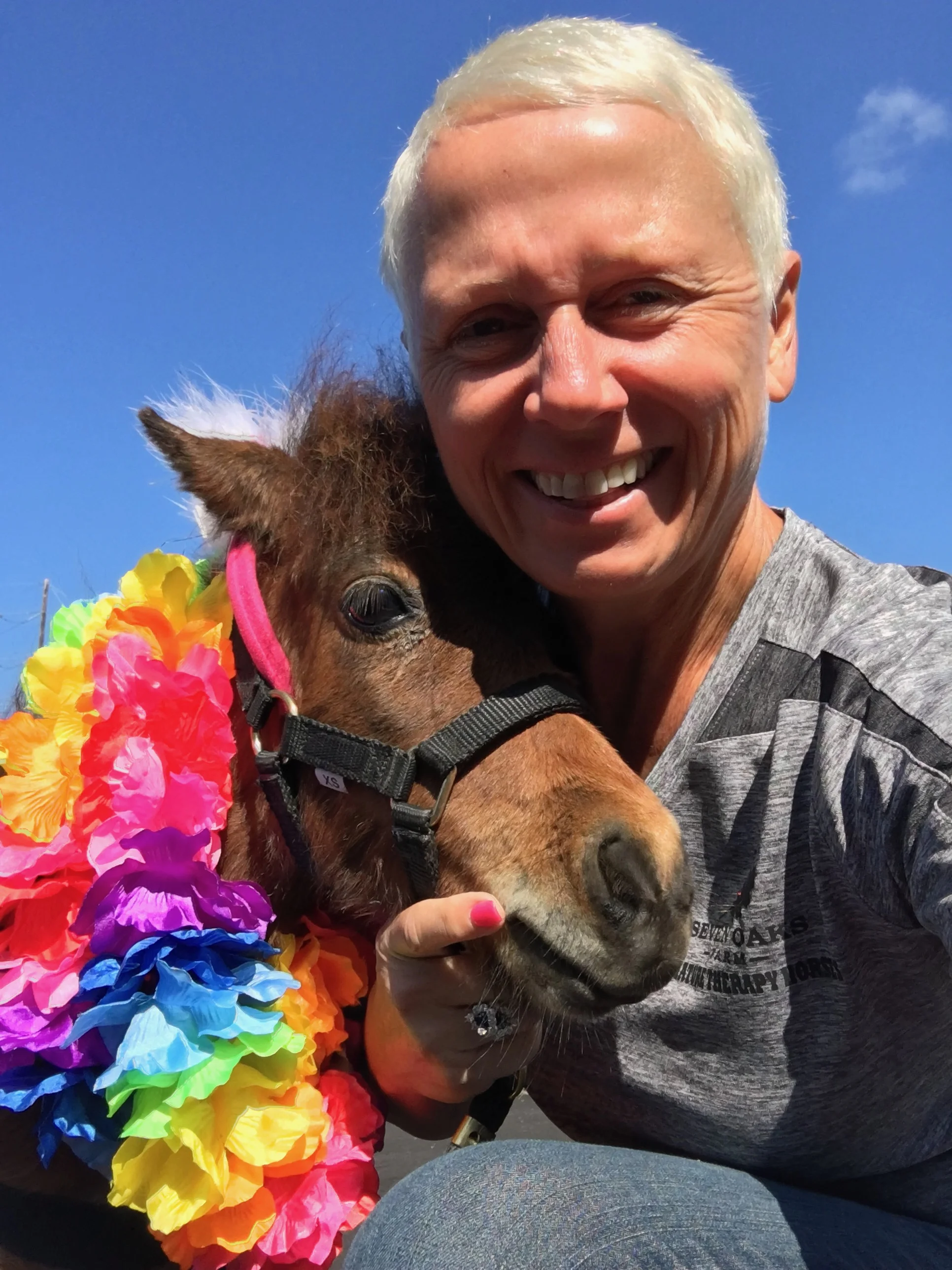 Wendy the therapy horse getting ready for a visit