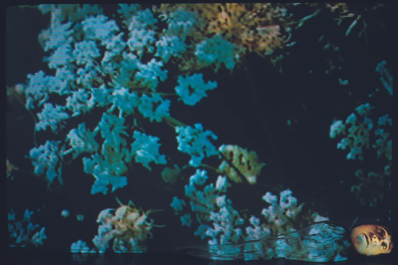 Anndaisy_banner.jpg