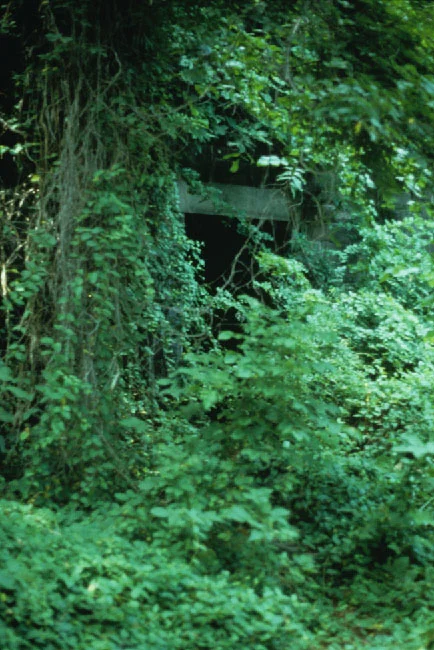 deadlylandscapes_3.jpg