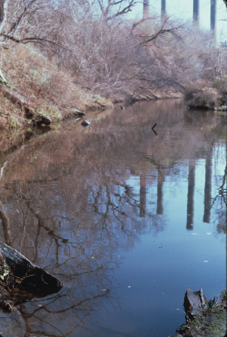 deadlylandscapes_6.jpg