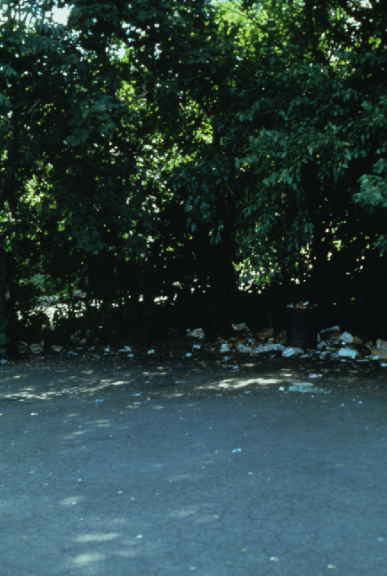 deadlylandscapes_7.jpg