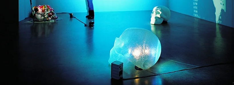 Still Lives and Skulls, New York