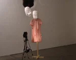  Inversion