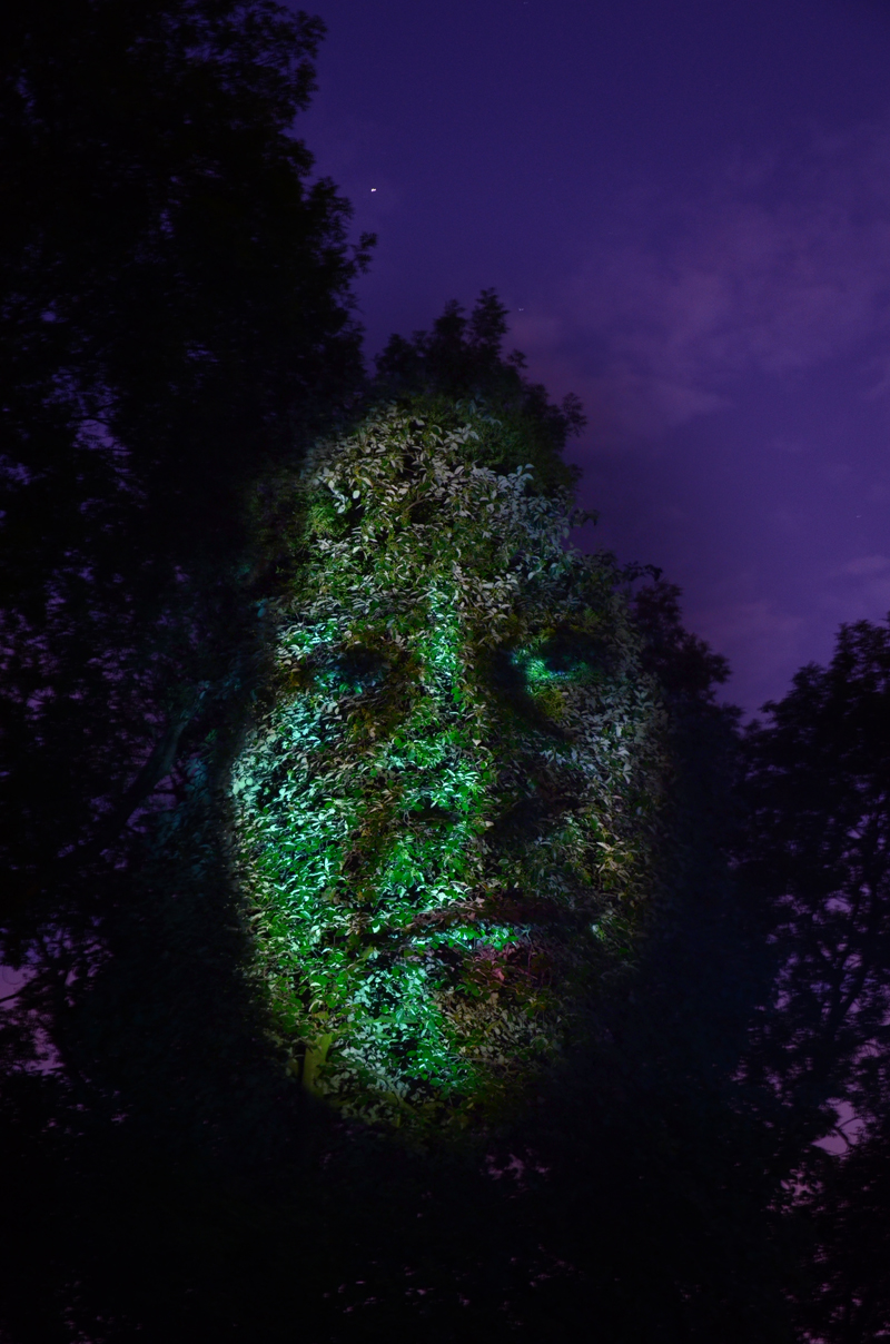 tree face woman sky.jpg