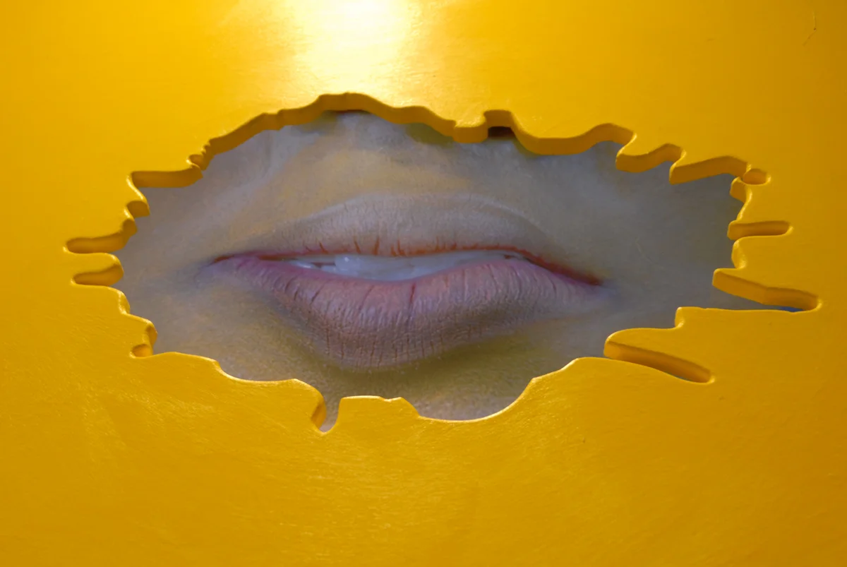 sinatra_yellow_detail_big.jpg