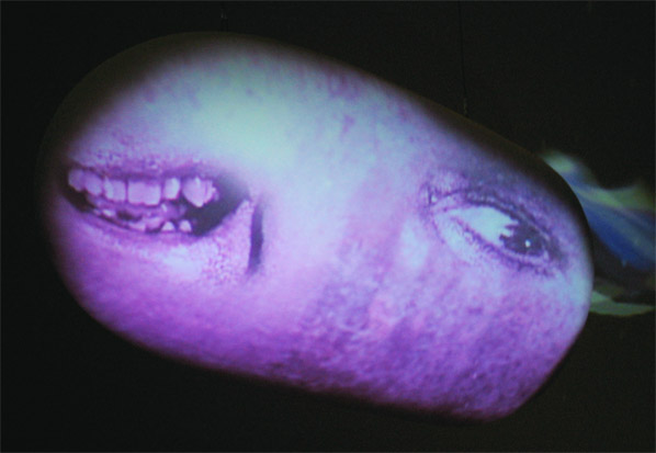 margoleavin2006_expan.jpg