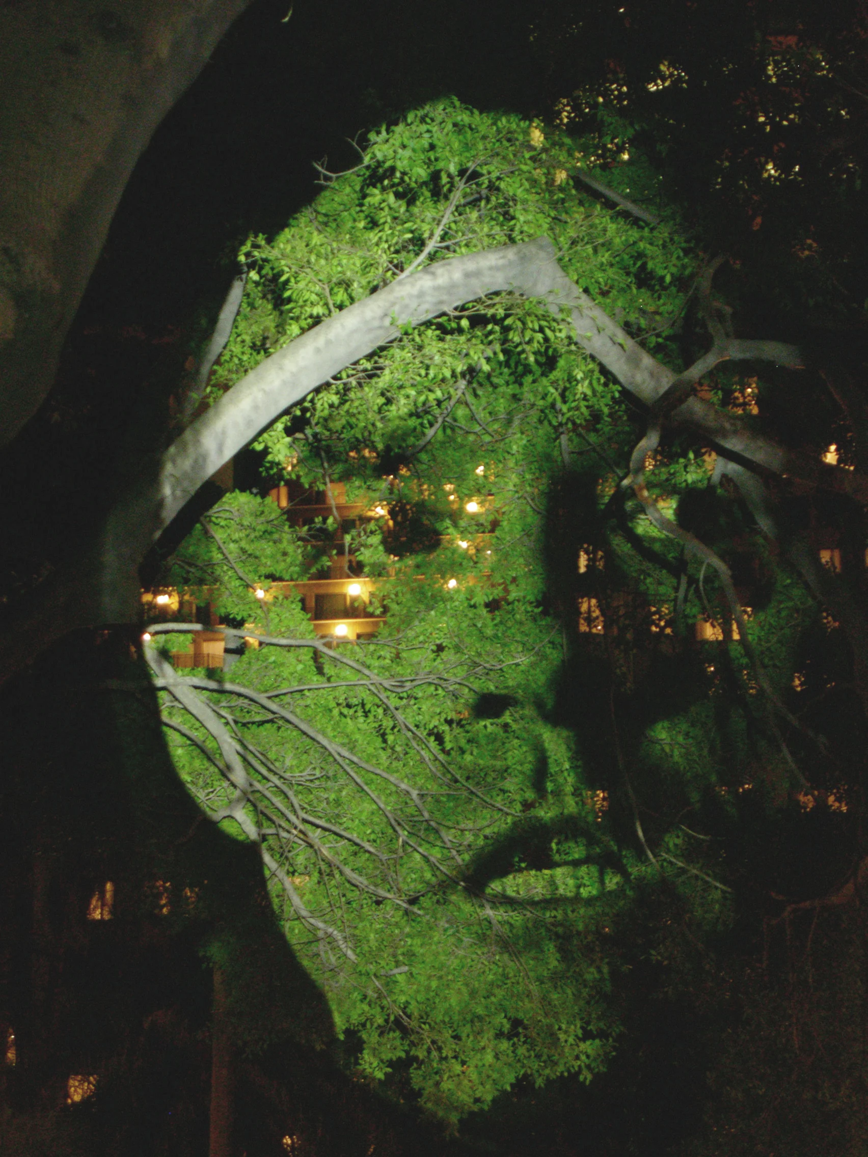 influence machine, 2000 new york.jpg
