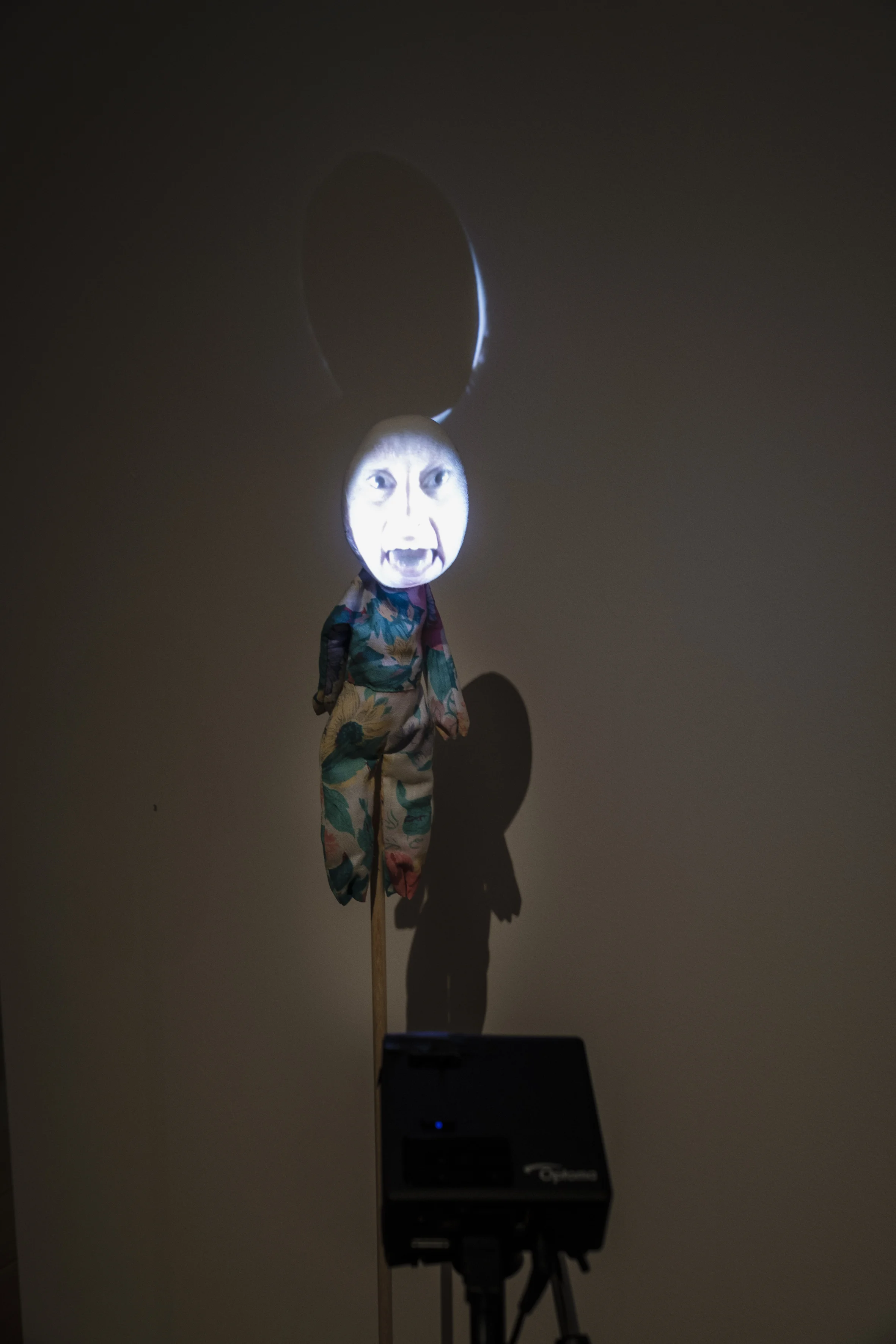 Animal/Girl, 1994