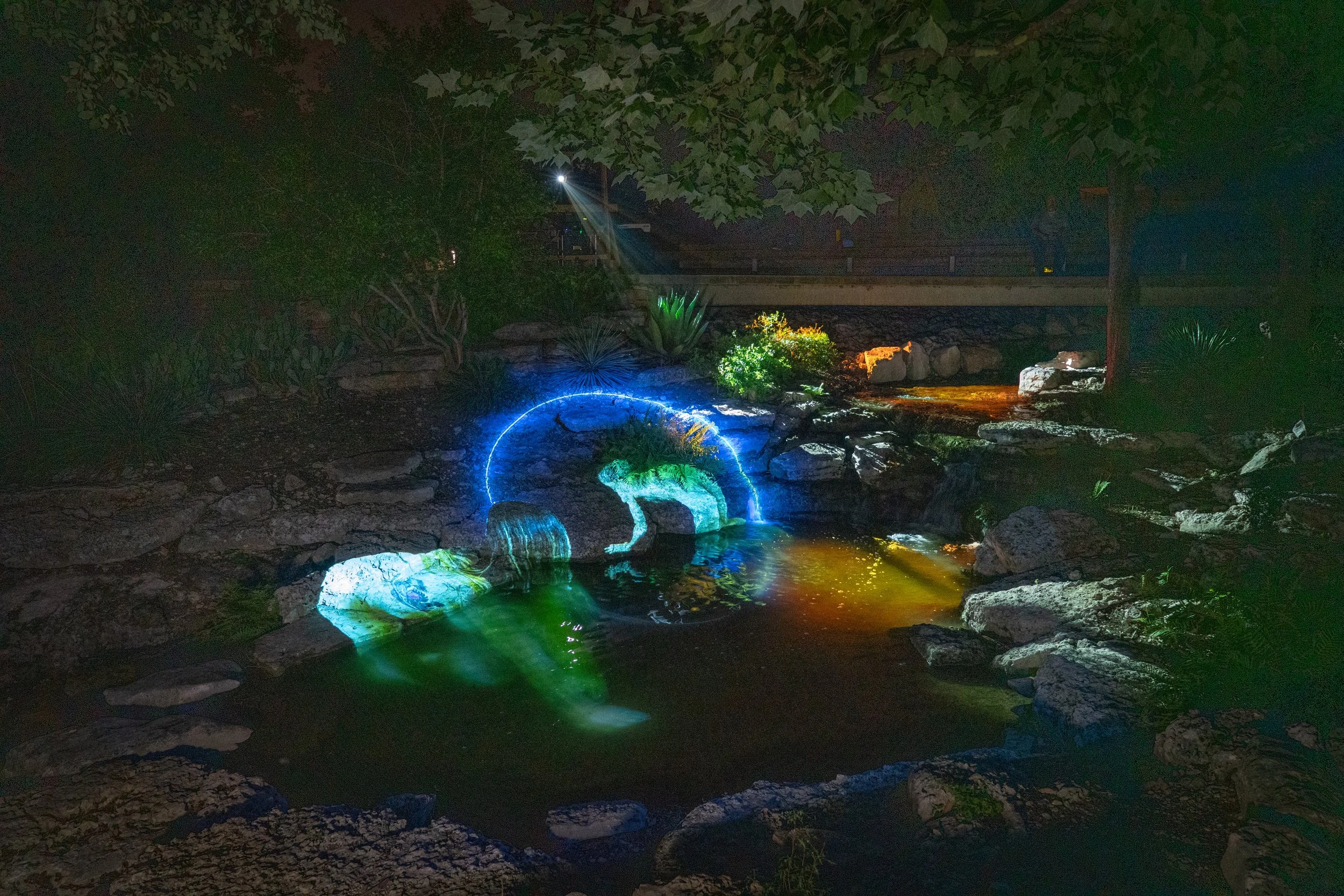 Arroyo-Doc-Pool3.jpg
