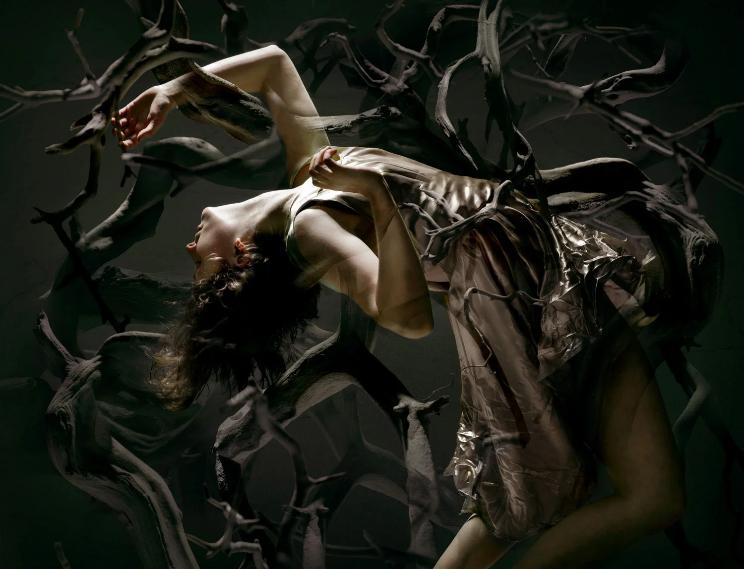 Mary Domenico Modern Dance