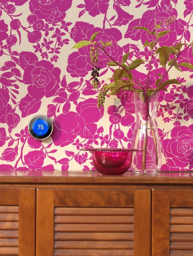 Ana Monfort Tabletop / Still Life