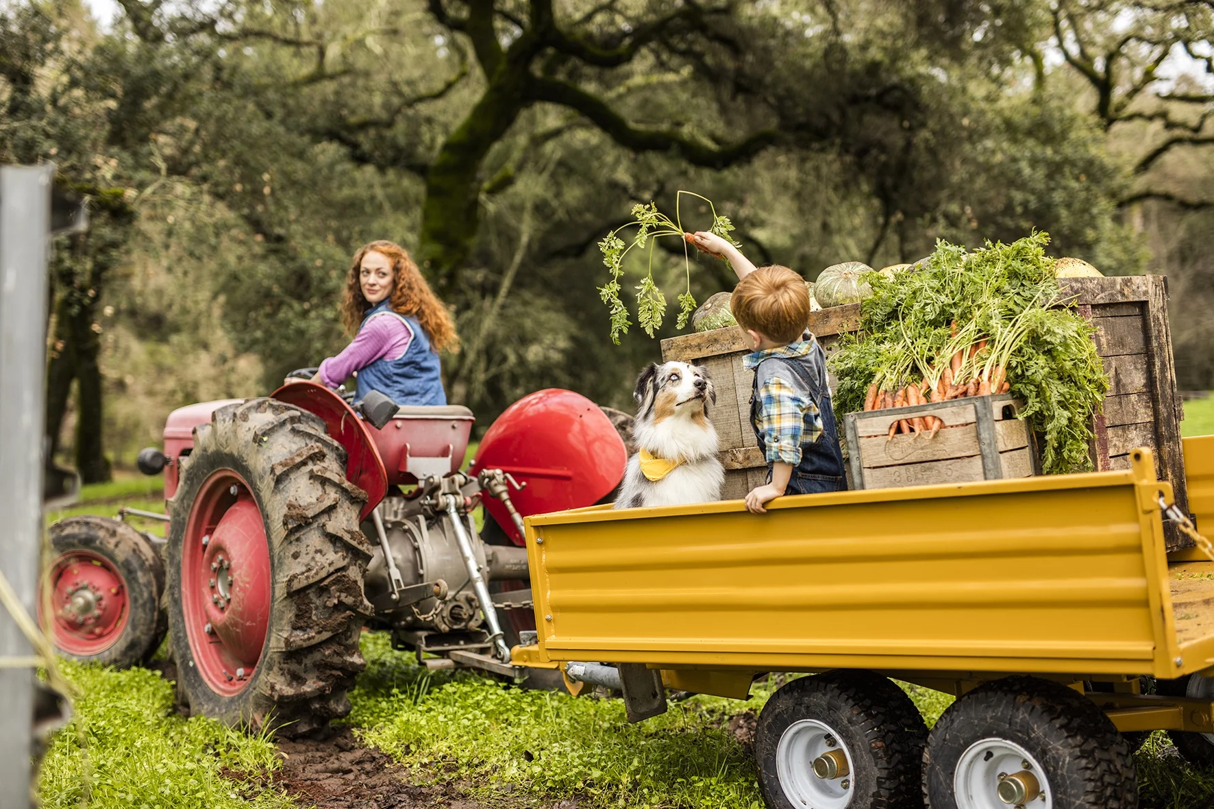 Colleen Hartman Props—Lifestyle