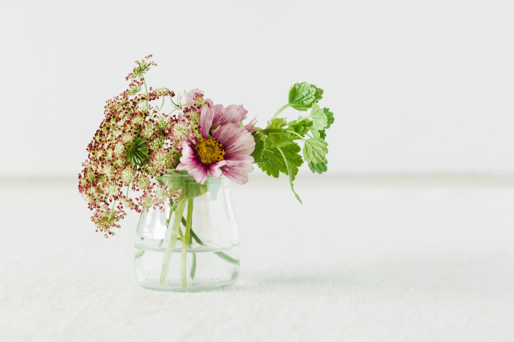 Jane Hartmann Tabletop / Still Life
