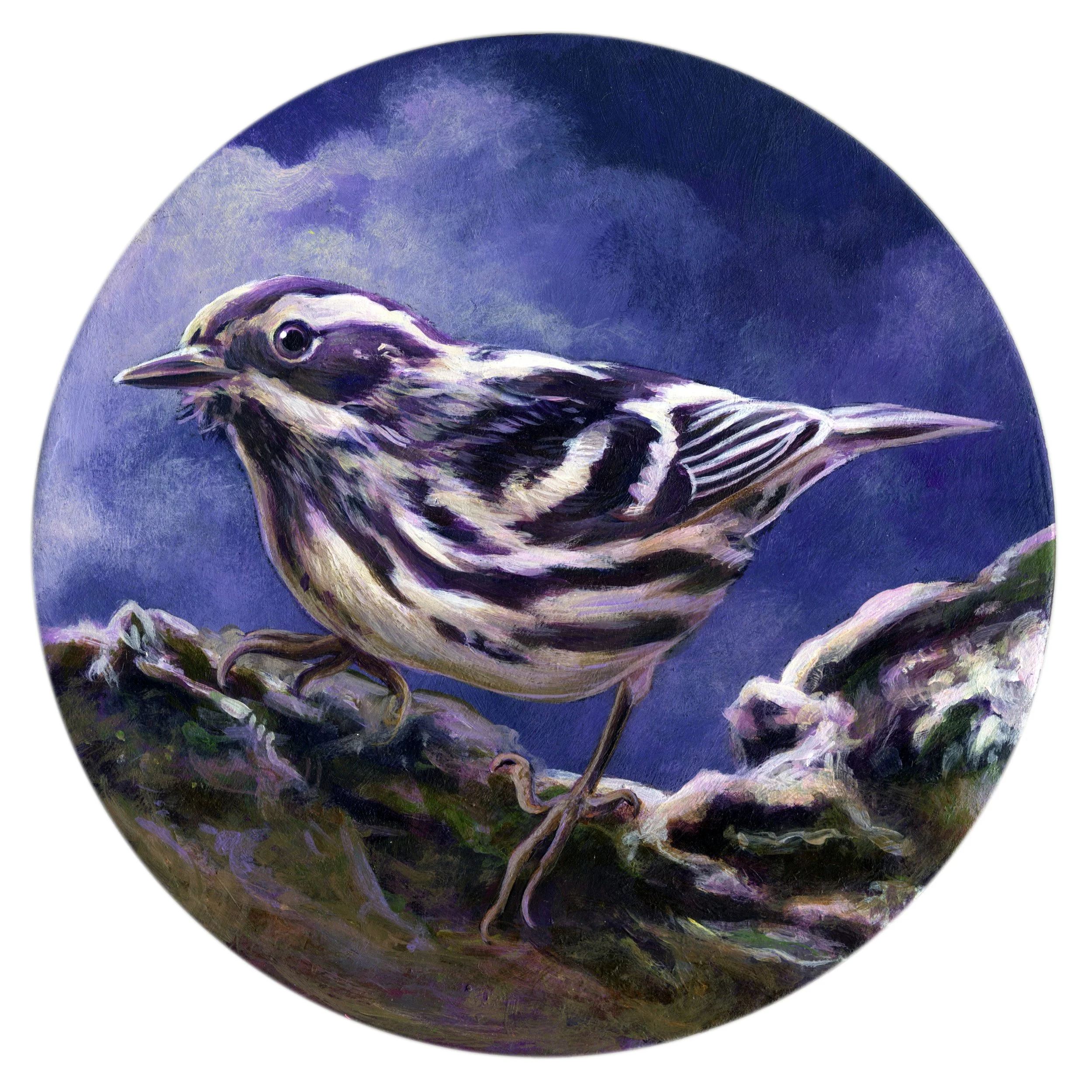 Purple and Black And White.jpg