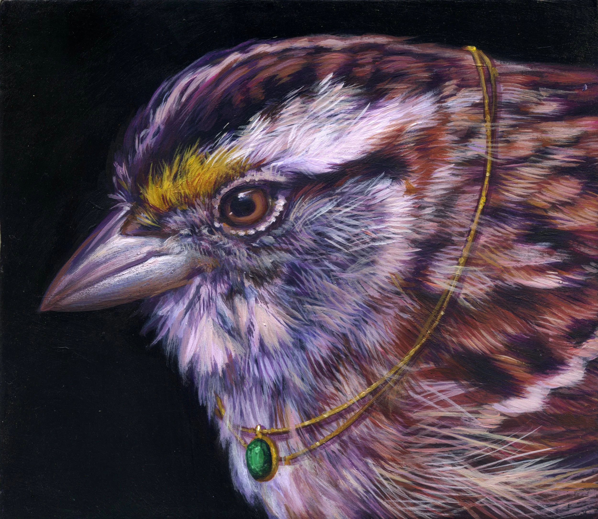 White Throated Sparrow.jpeg