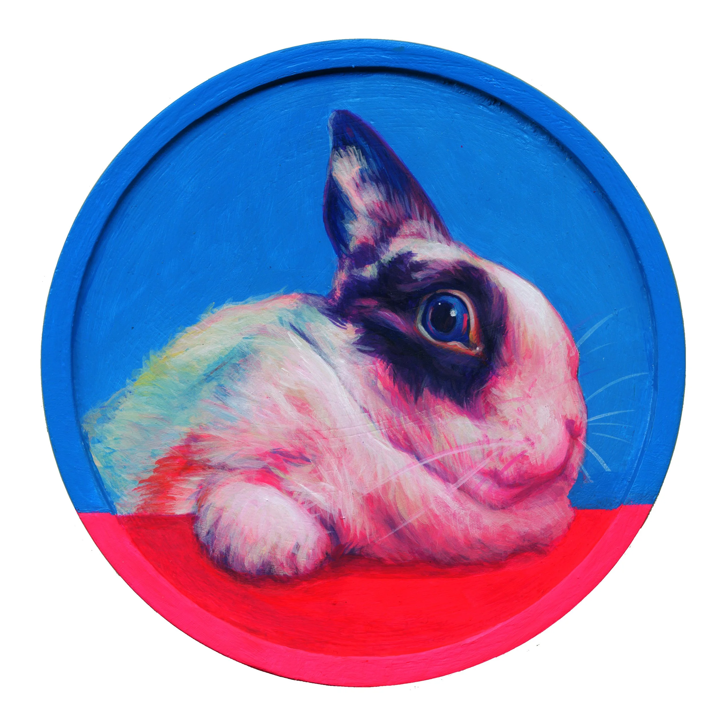 Blue & Pink Rabbit.jpg