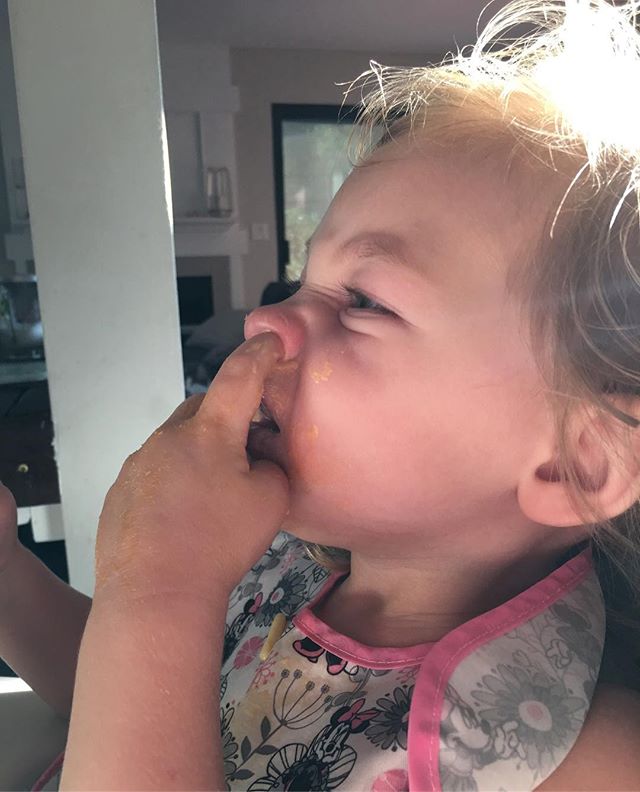 You&rsquo;re welcome world. Mac n cheese fingers. Straight. Up. The. Nose. #macncheesefingers #babyville #daddysgirl #hopeshegotwhatshewaslookingfor