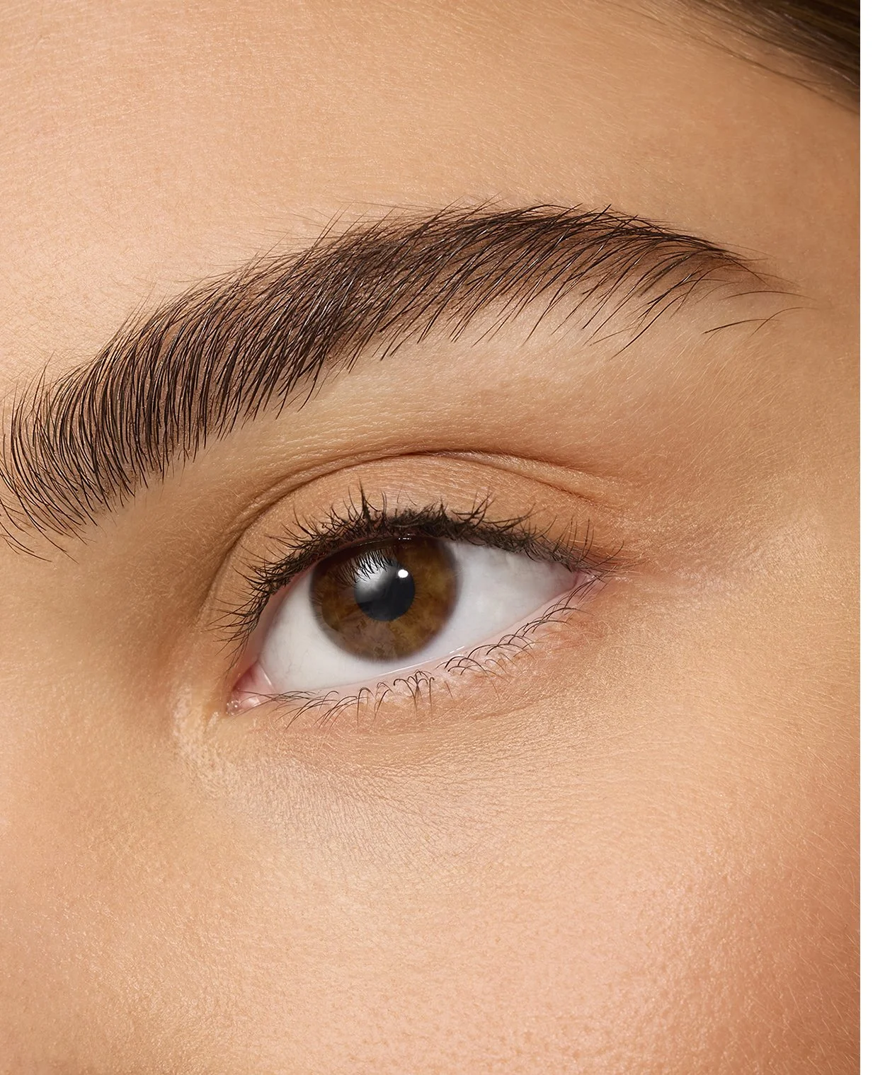 27_BA_Masa_0981_v3 copy 2.jpg