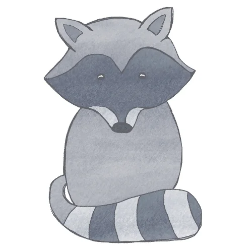 shy racoon