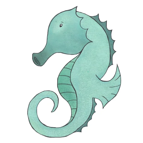 seahorse