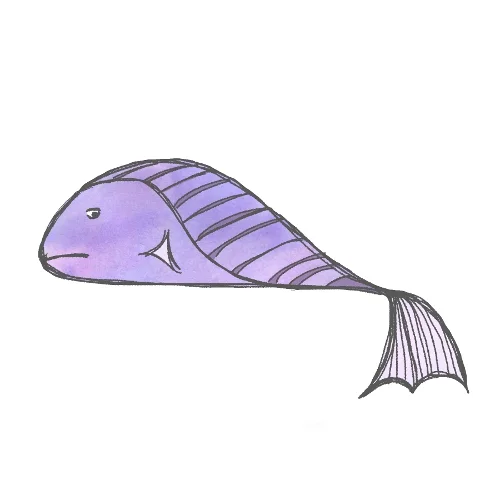 purple fish