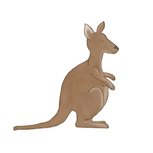 kangaroo