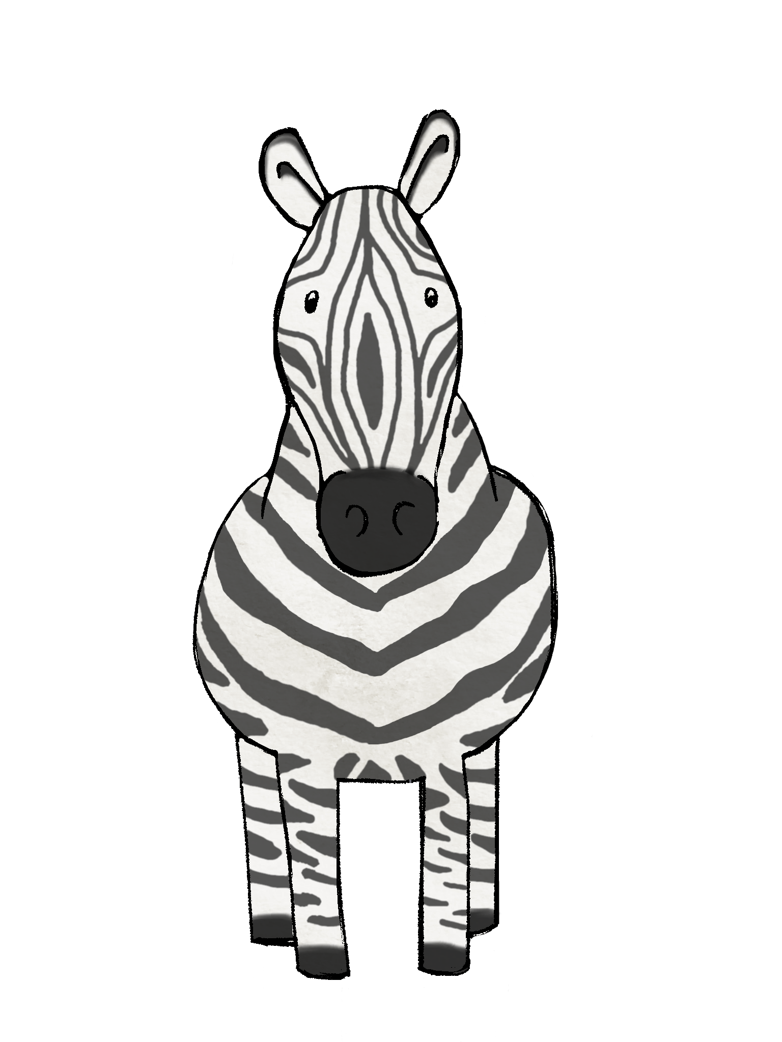 zebra
