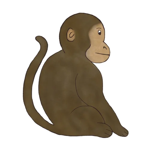 monkey