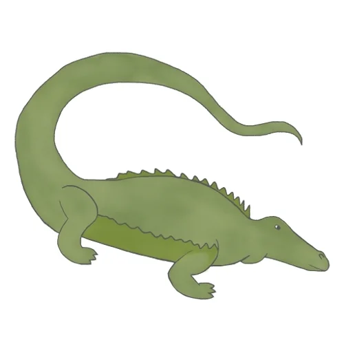 alligator