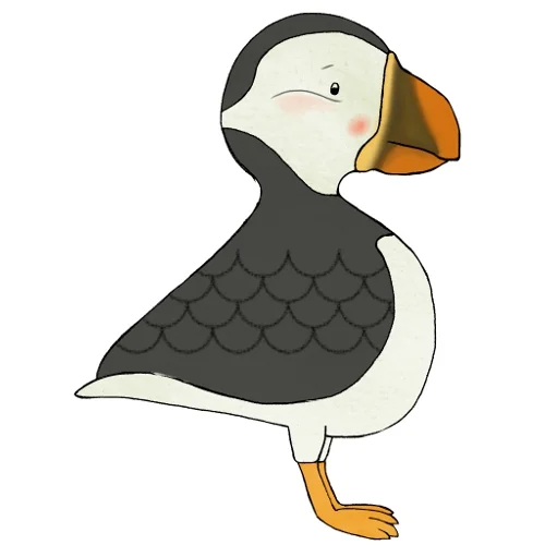 Arctic Puffin