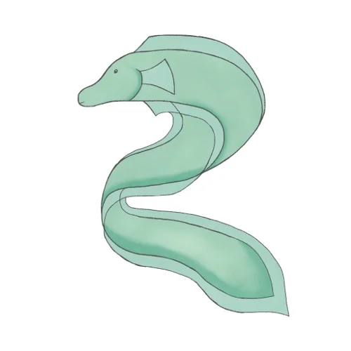 eel