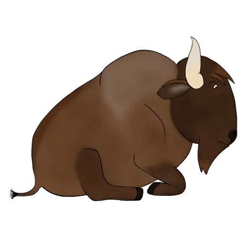 bison