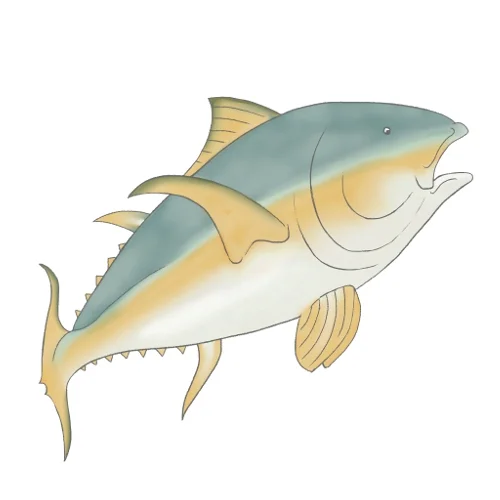tuna_copyright PipitAndFox 2017.jpg