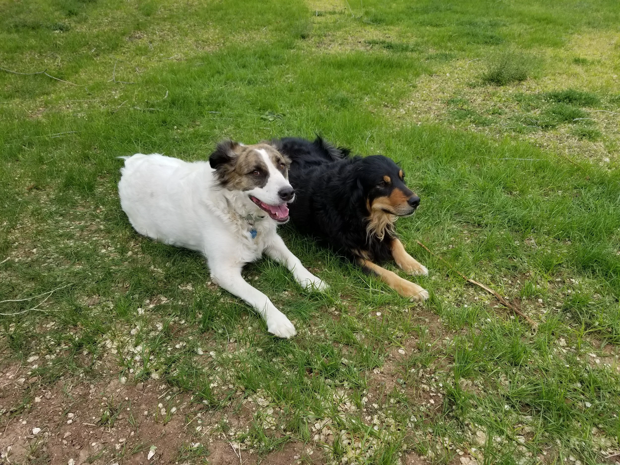 20180420_155352.jpg