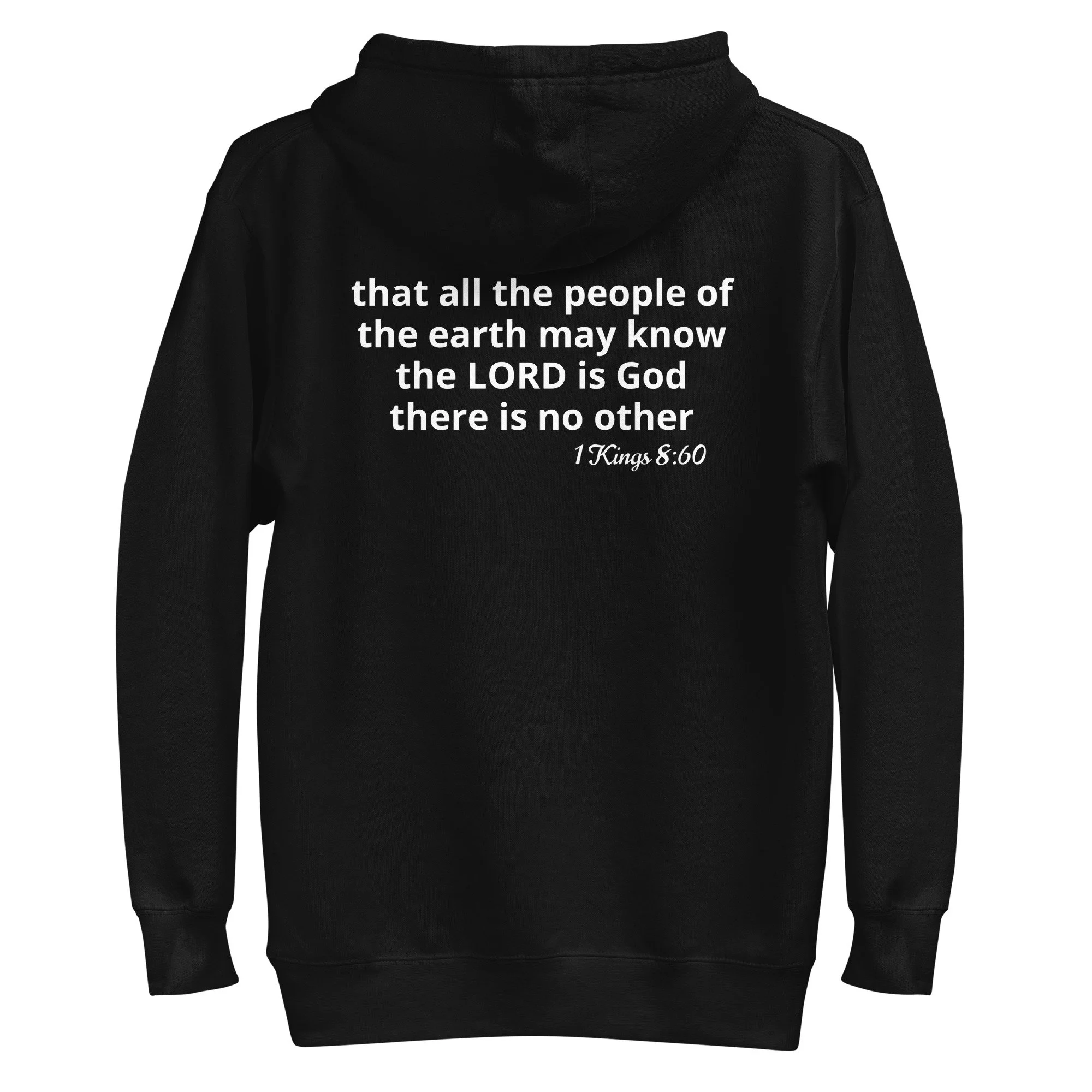 unisex-premium-hoodie-black-back-67f124780e10f.jpg