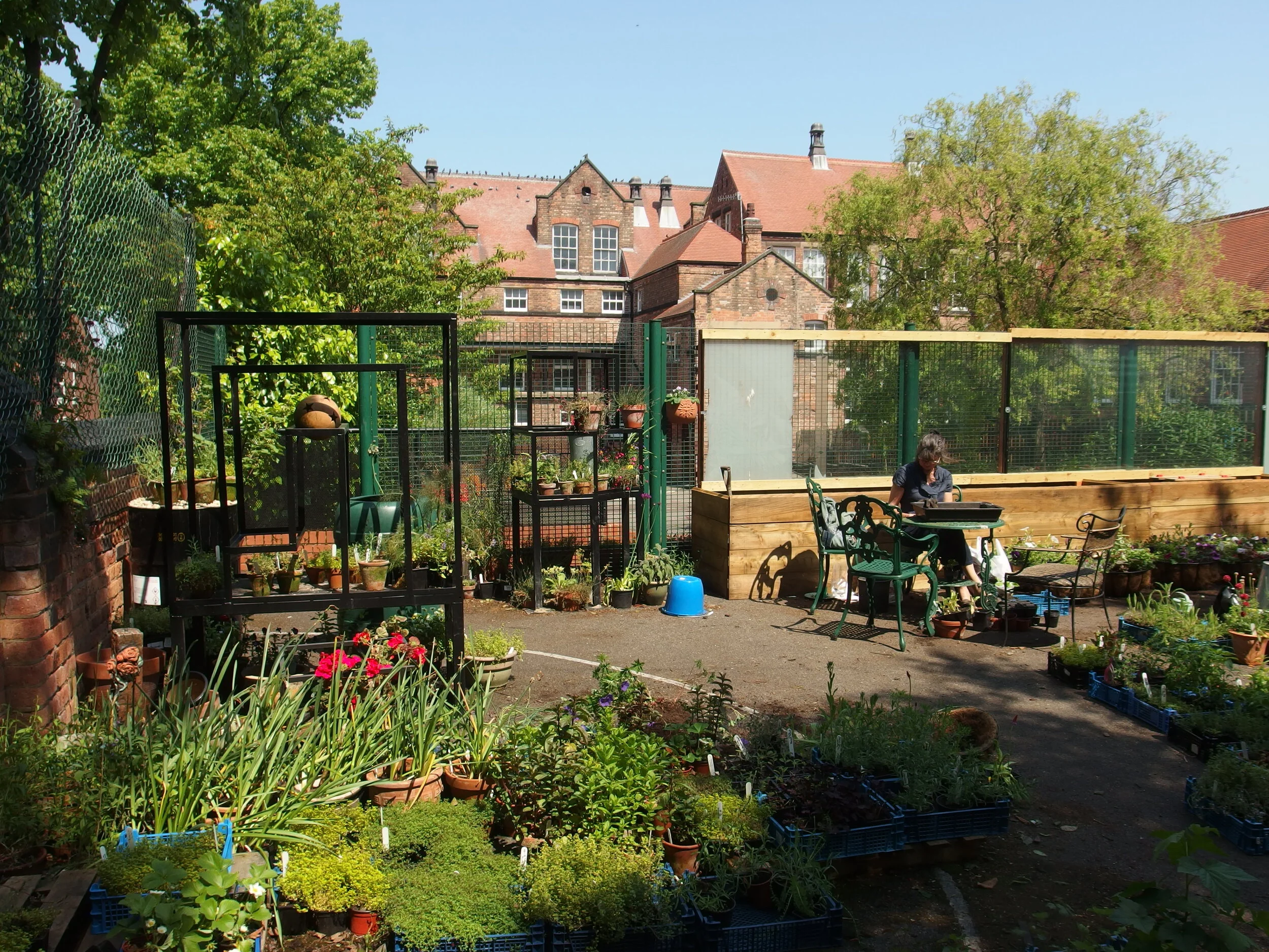 Skillshare: Sow Grow Eat (Pt. 2) 