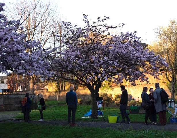When This Tree Blossoms...