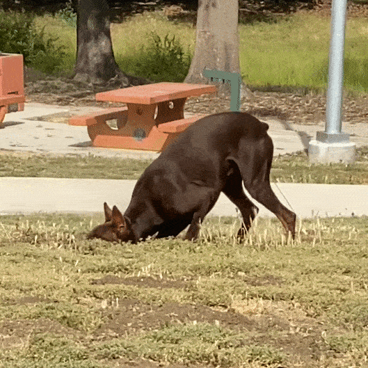 Carmen Argote | Be loved