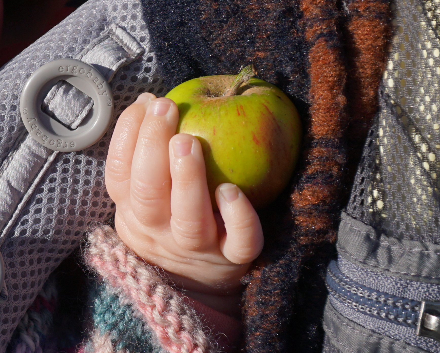 baby-apple.png