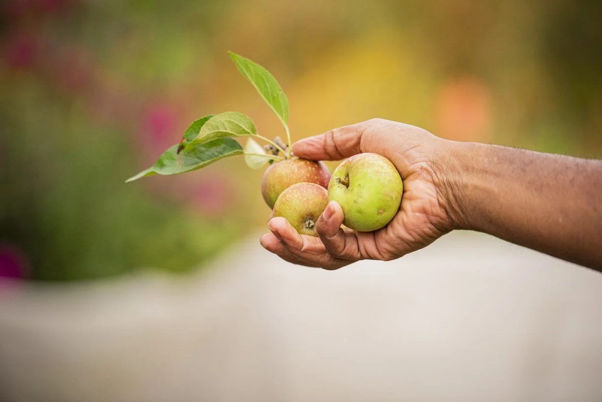 Call for Participants | Landedness 