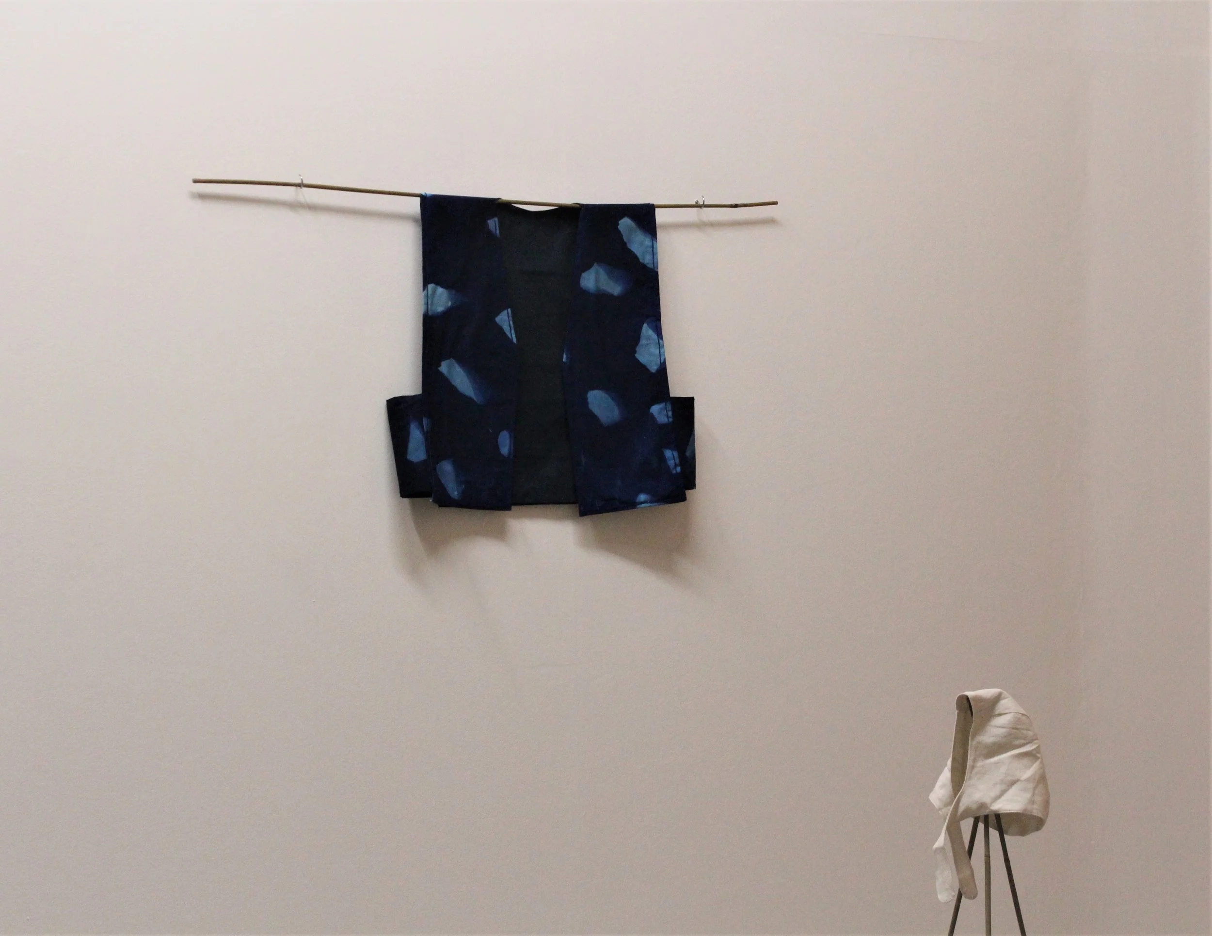 Skillshare: Cyanotypes