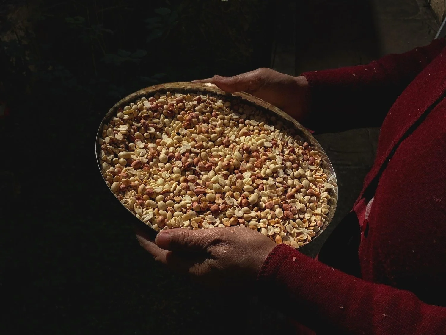 Food Stories with Janhavi Sharma 