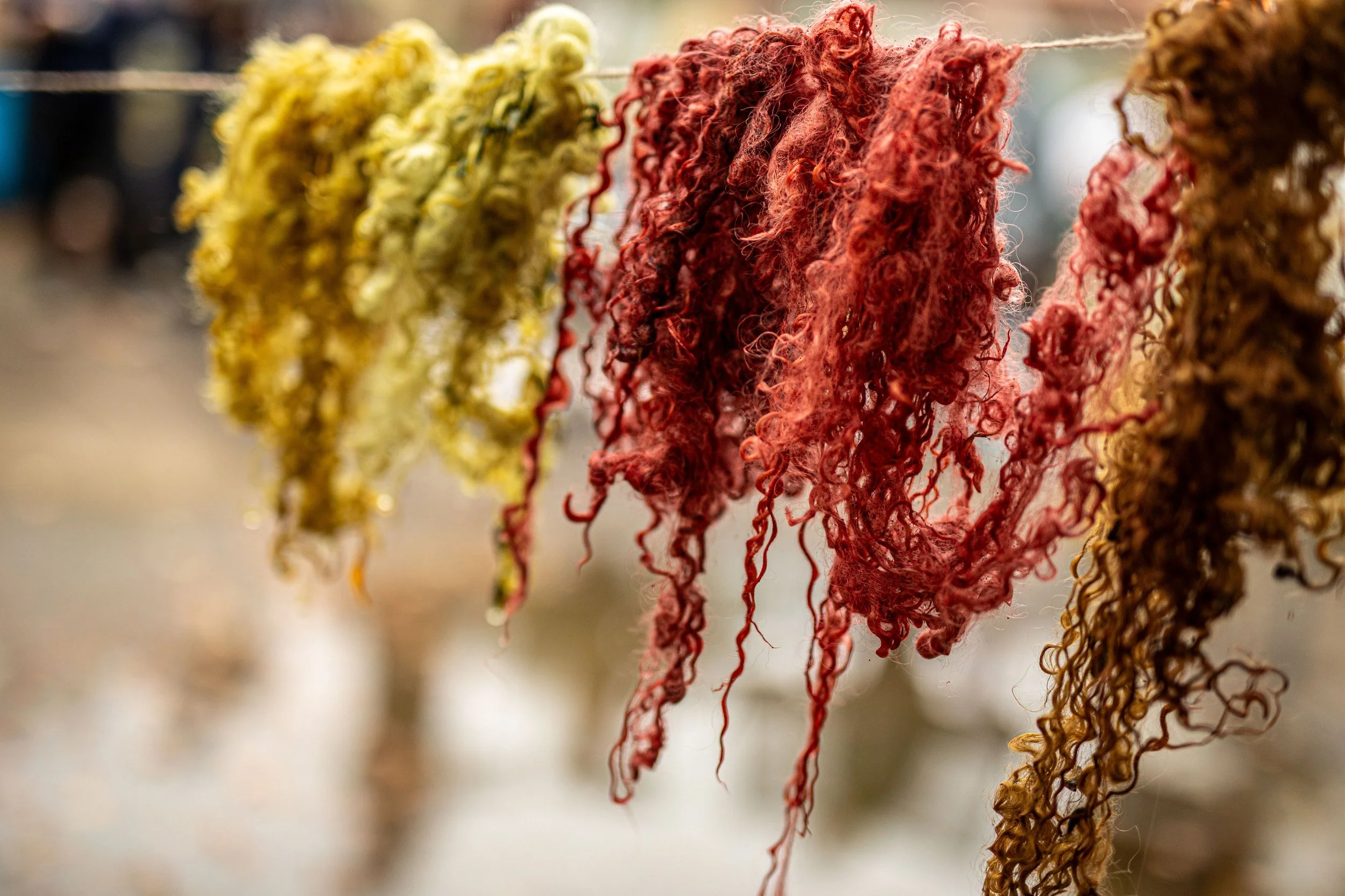 Plant Dye Studio has launched