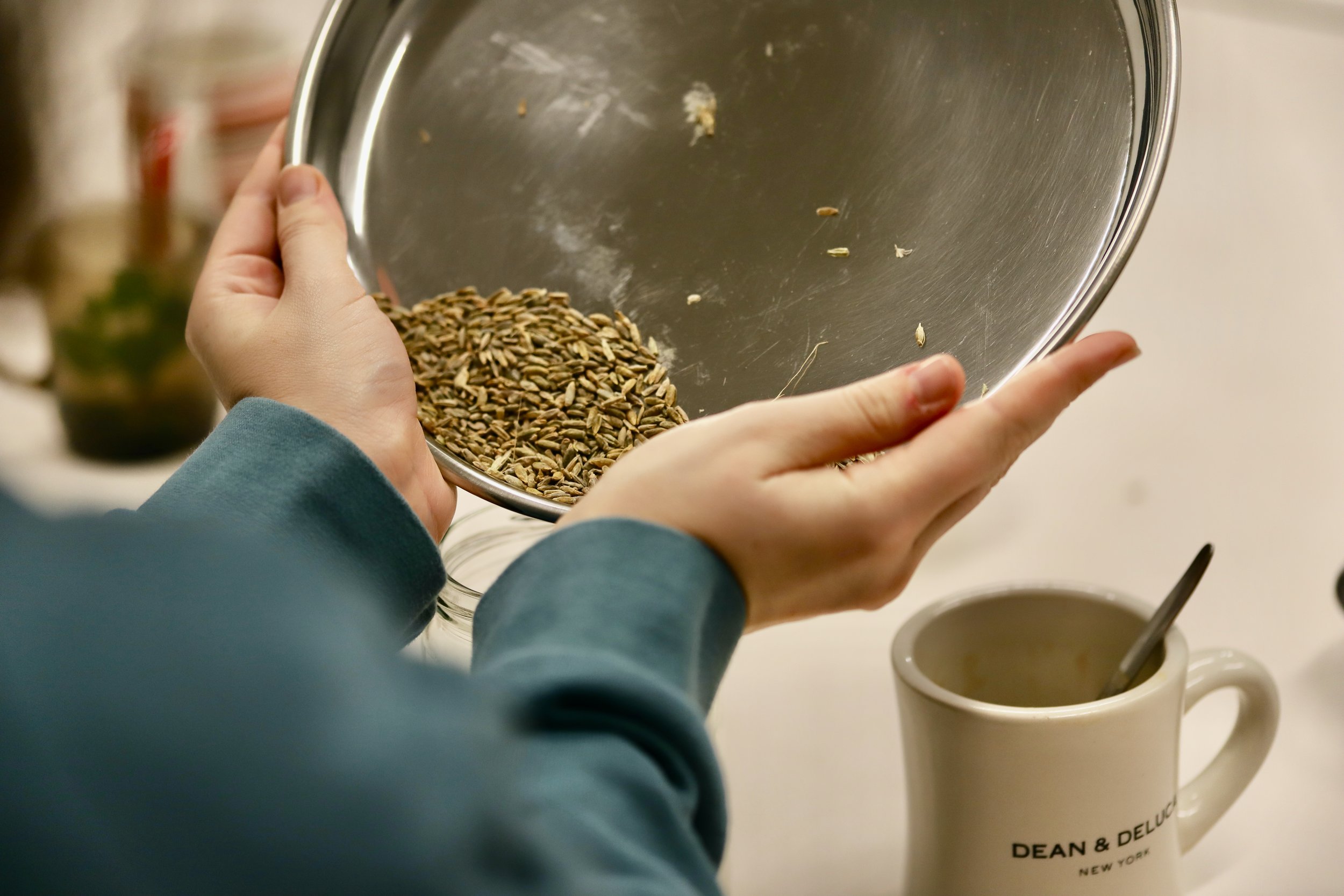  Grinding the Grain with Saintly Amok. Photo: Ismail Khokon 